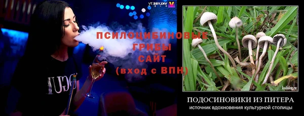 крисы Беломорск