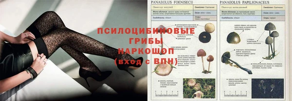 амфетамин Богородицк