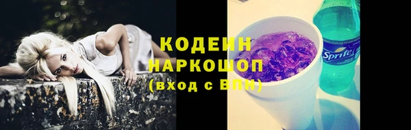молекула духа Белоозёрский