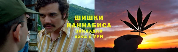 молекула духа Белоозёрский
