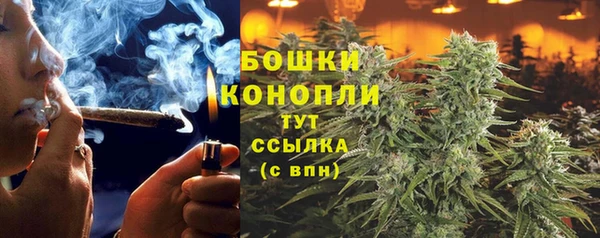 крисы Беломорск