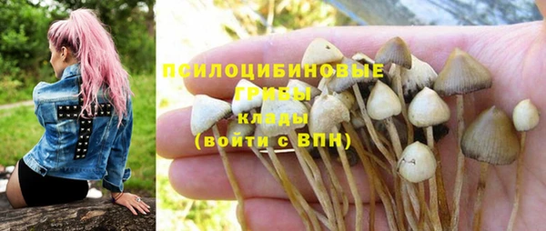 крисы Беломорск