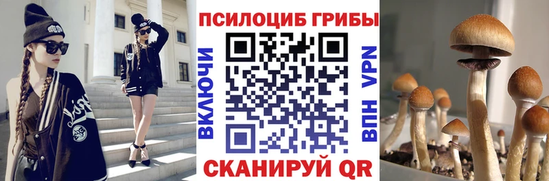 Галлюциногенные грибы Psilocybine cubensis  Магас 